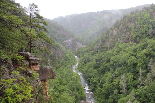 A misty valley with a winding river surrounded by lush green trees and rocky cliffs.