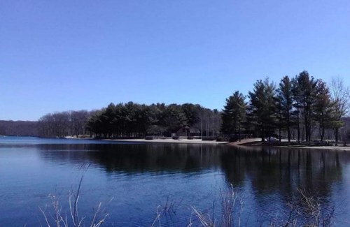 A serene lake surrounded by trees under a clear blue sky, reflecting the landscape in calm waters.