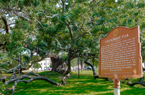 A historic sign near a large, sprawling oak tree, with a building visible in the background.