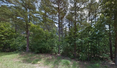 A dense forest with tall trees and lush greenery under a partly cloudy sky.