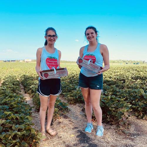 Two women stand in a strawberry field, each holding a box of strawberries, smiling at the camera.