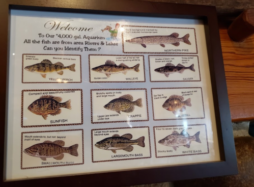 A framed sign displaying various fish species found in local rivers and lakes, with images and names of each fish.