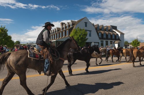 A cowboy on horseback leads a parade past a building, with a crowd watching along the street.