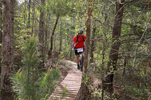 A mountain biker in a red shirt rides along a narrow wooden trail through a lush, green forest.