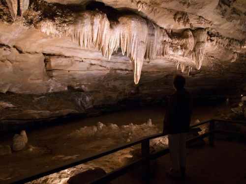 A person stands in a cave, gazing at illuminated stalactites hanging from the ceiling above a rocky riverbed.