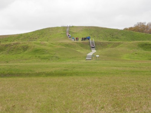 A group of people walks up a grassy hill with stairs, under a cloudy sky.