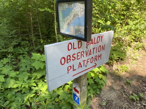Signpost directing to the Old Baldy Observation Platform, with a map displayed above it, surrounded by greenery.