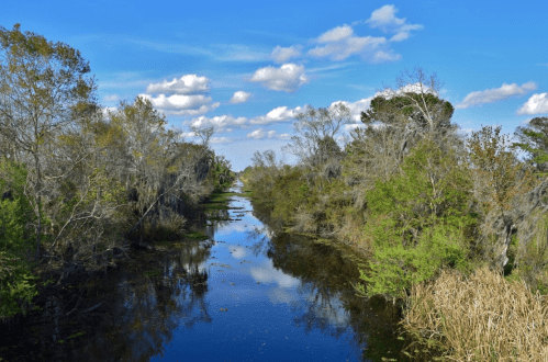 A serene waterway surrounded by lush greenery and trees under a bright blue sky with fluffy clouds.
