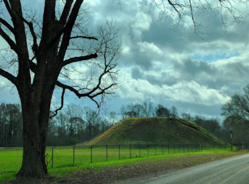 A grassy mound rises in the distance, surrounded by a fence, with a bare tree in the foreground under a cloudy sky.