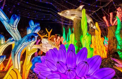 Colorful illuminated coral and flowers with a dolphin sculpture, creating a vibrant underwater scene at night.