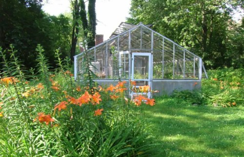 A glass greenhouse surrounded by vibrant orange flowers and lush greenery on a sunny day.