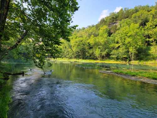 A serene river flows through a lush green landscape, surrounded by trees and gentle hills under a clear blue sky.