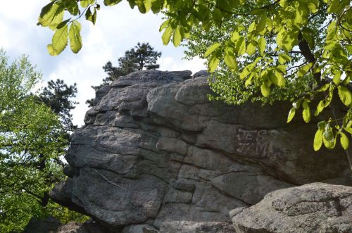 A large rock formation partially obscured by green leaves and trees under a cloudy sky.