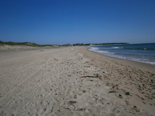 A sandy beach stretches along the shoreline under a clear blue sky, with gentle waves lapping at the shore.