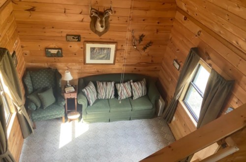 Cozy wooden cabin interior with a green sofa, armchair, and deer head mounted on the wall. Sunlight streams in.