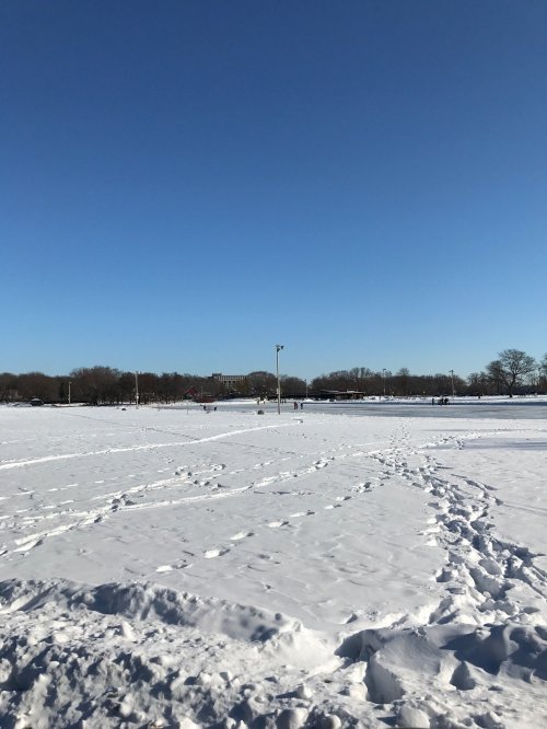 A snowy landscape under a clear blue sky, with footprints leading across the white expanse.