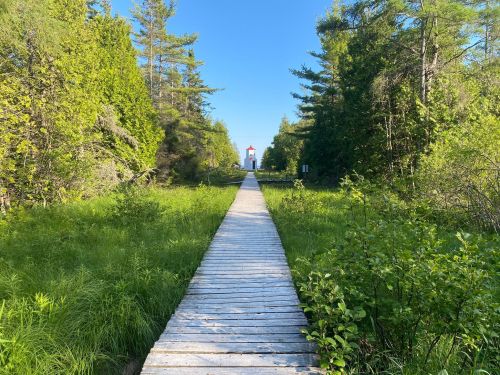 A wooden boardwalk leads through lush greenery to a distant lighthouse under a clear blue sky.