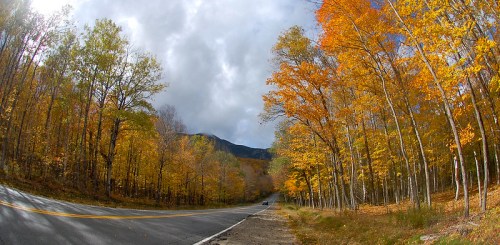 A winding road surrounded by vibrant autumn trees with orange and yellow leaves under a cloudy sky.