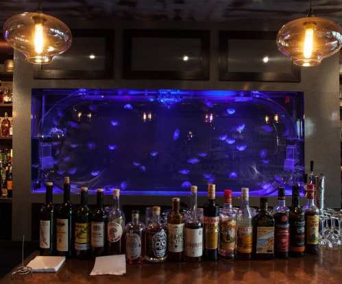A bar with a variety of liquor bottles in front of a glowing aquarium filled with jellyfish.