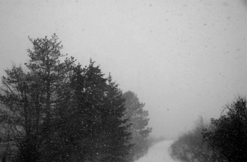 A snowy landscape with trees partially obscured by heavy snowfall, creating a misty, monochrome atmosphere.