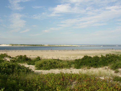 A serene beach scene with sandy shores, green vegetation, and calm waters under a blue sky with scattered clouds.