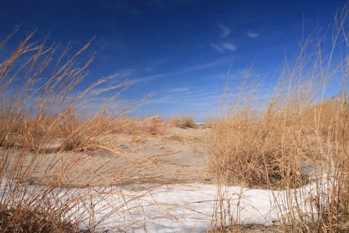 A sandy landscape with dry grass and patches of snow under a clear blue sky.