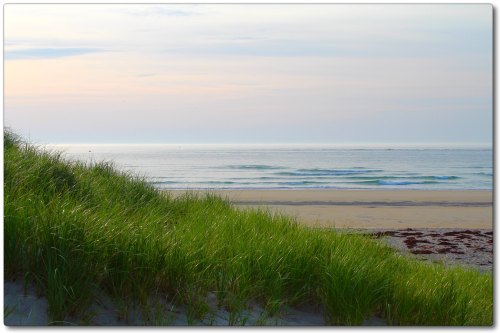 A serene beach scene with gentle waves and lush green grass in the foreground under a soft, pastel sky.