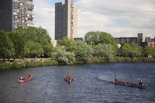 Teams in colorful boats compete in a dragon boat race on a calm river, surrounded by greenery and urban buildings.