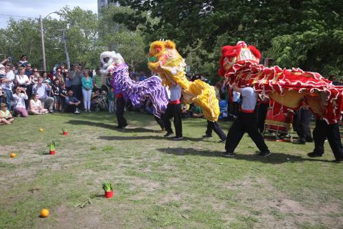 Three colorful lion dancers perform in front of a crowd, with oranges and carrots placed on the ground.