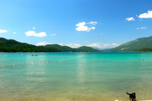 A serene lake with turquoise water, surrounded by green mountains and a clear blue sky, with a dog on the shore.
