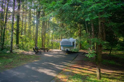 A camper parked in a wooded area, with a picnic table and fire pit nearby, surrounded by lush green trees.
