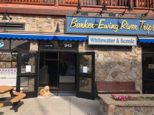 A golden retriever sits outside the Barker-Ewing River Trips office, with a stone facade and blue awning above the entrance.