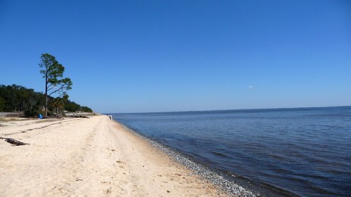 A serene beach scene with sandy shore, calm water, and a clear blue sky, lined with trees in the background.