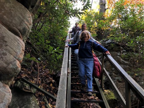 A group of people descends wooden stairs surrounded by rocks and greenery in a forested area.