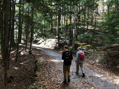 Two hikers walking on a forest trail surrounded by trees and fallen leaves.