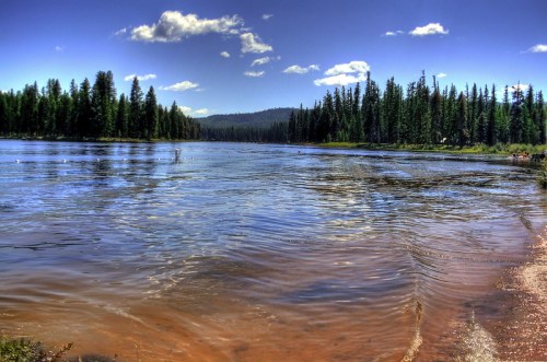 A serene river scene with clear water, surrounded by lush green trees and a blue sky with fluffy clouds.