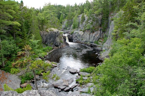 A serene river flows through rocky terrain, surrounded by lush green trees and vegetation.