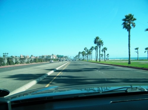 A sunny coastal road lined with palm trees, leading towards the ocean under a clear blue sky.