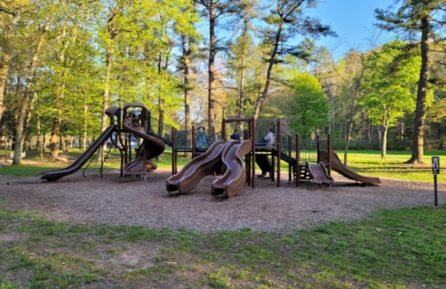A playground with multiple slides surrounded by trees and green grass on a sunny day.