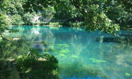 A serene, clear blue lake surrounded by lush greenery and trees, reflecting the vibrant colors of nature.