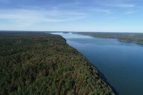 Aerial view of a serene lake surrounded by lush green forests under a clear blue sky.