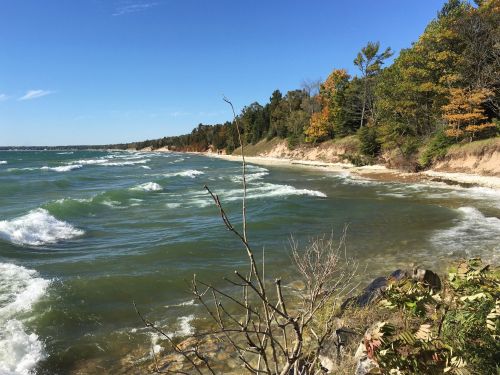 Waves gently crash on a sandy shore lined with trees, under a clear blue sky. Autumn colors are visible in the foliage.
