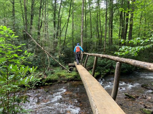 A person walks across a wooden bridge over a stream in a lush green forest.