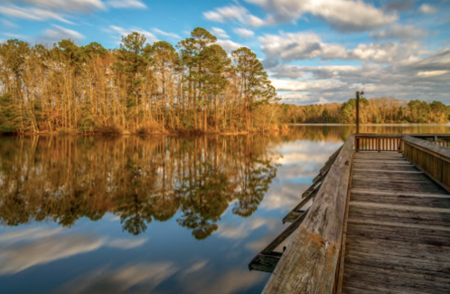 A serene lake scene with a wooden dock, surrounded by trees reflecting in the calm water under a blue sky with clouds.