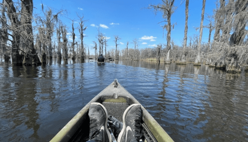 A view from a kayak on calm water, surrounded by bare trees and blue sky, with a pair of sneakers visible in the foreground.