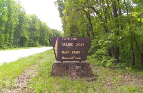 Sign for Sugar Camp Scenic Drive in Mark Twain National Forest, surrounded by lush green trees and a gravel path.