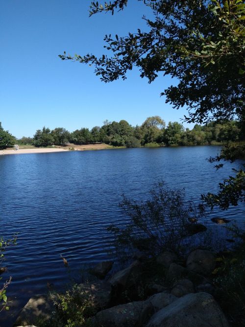 A serene lake surrounded by trees under a clear blue sky, with gentle ripples on the water's surface.