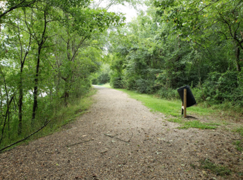 A gravel path winds through a lush green forest, with trees lining both sides and a signpost visible ahead.