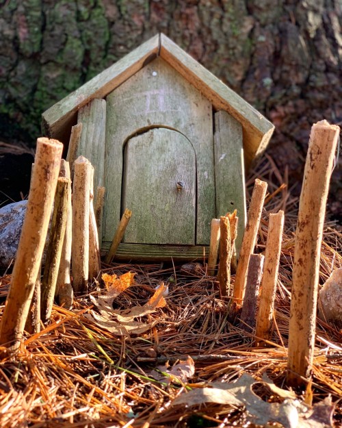 A small wooden birdhouse surrounded by sticks and pine needles, set against a tree trunk.