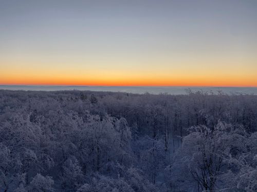 A serene winter landscape with snow-covered trees under a colorful sunrise sky.
